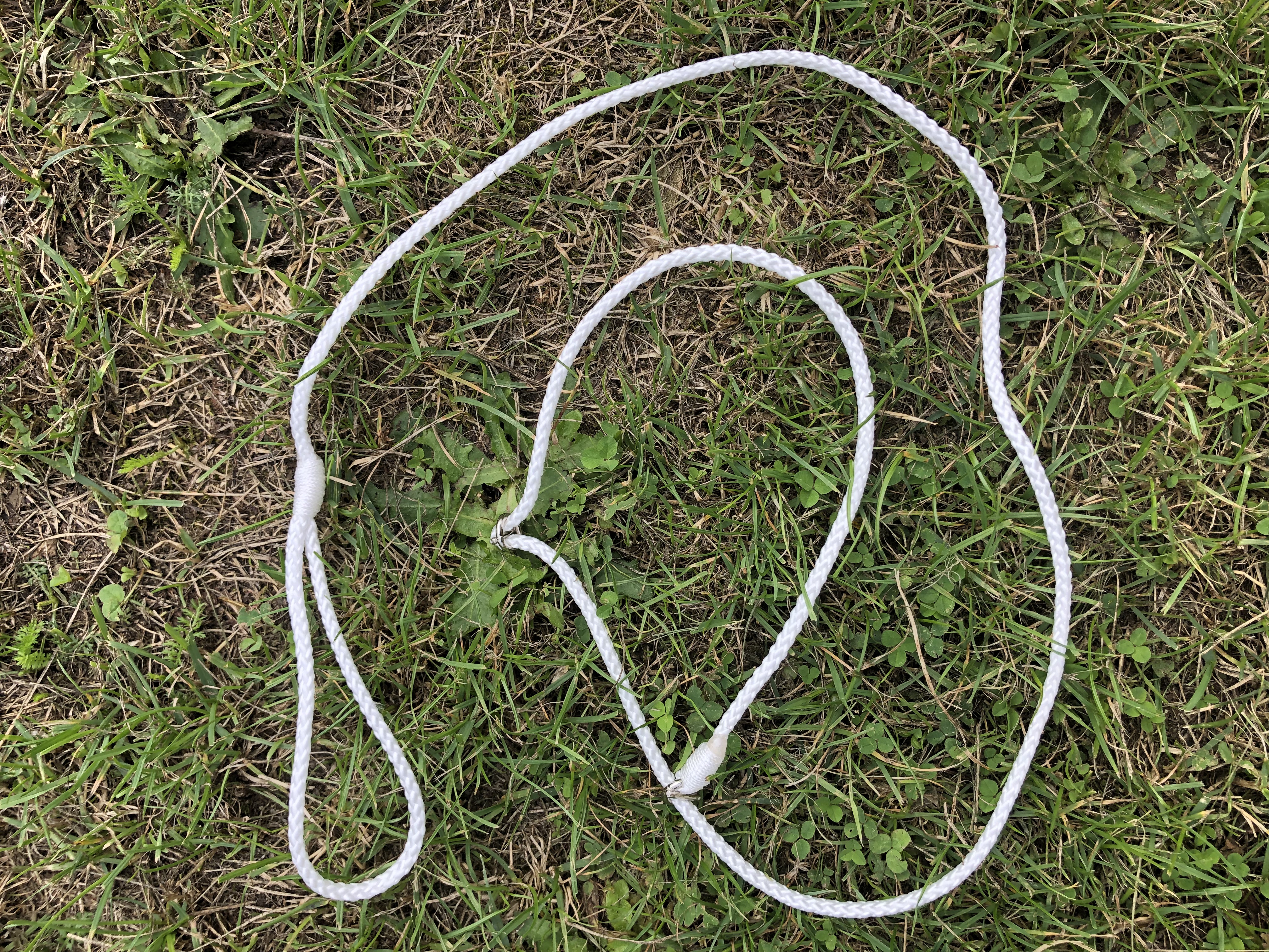 Tahání psa na vodítku